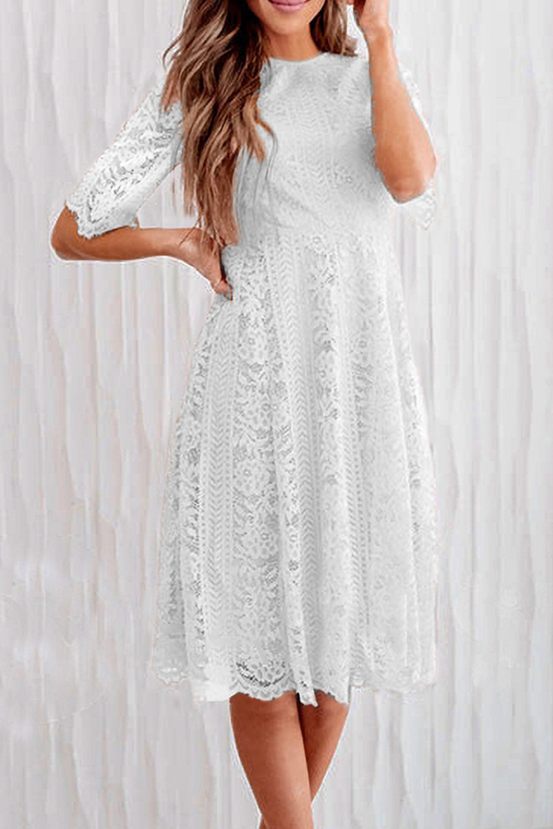 JO | Casual Solid Lace O Neck Cake Skirt Dresses