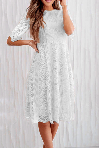 JO | Casual Solid Lace O Neck Cake Skirt Dresses